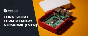 LSTM network