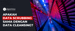 data scrubbing