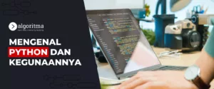 apa itu python